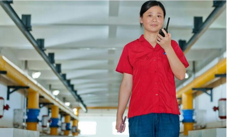 和记H88·(中国集团)app下载 - 怡情博娱官网