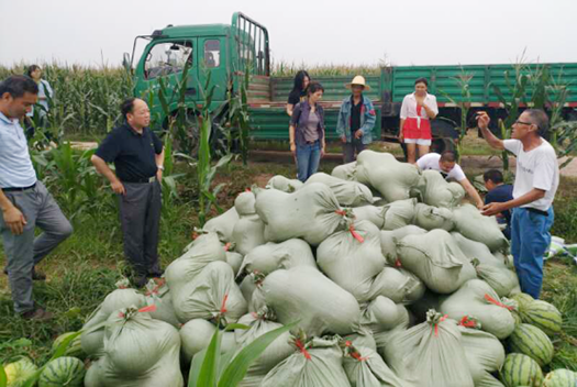 和记H88·(中国集团)app下载 - 怡情博娱官网