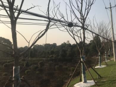 和记H88·(中国集团)app下载 - 怡情博娱官网