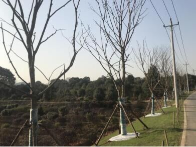 和记H88·(中国集团)app下载 - 怡情博娱官网