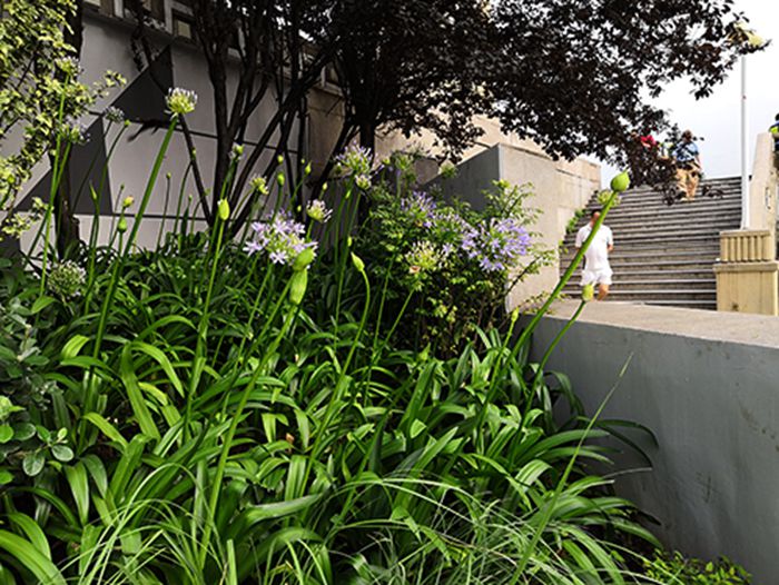 和记H88·(中国集团)app下载 - 怡情博娱官网