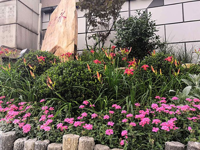 和记H88·(中国集团)app下载 - 怡情博娱官网