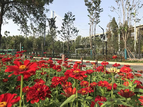 和记H88·(中国集团)app下载 - 怡情博娱官网